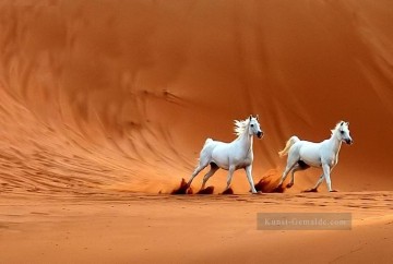 zwei weiße Pferde in der Wüste realistisch von Foto Ölgemälde